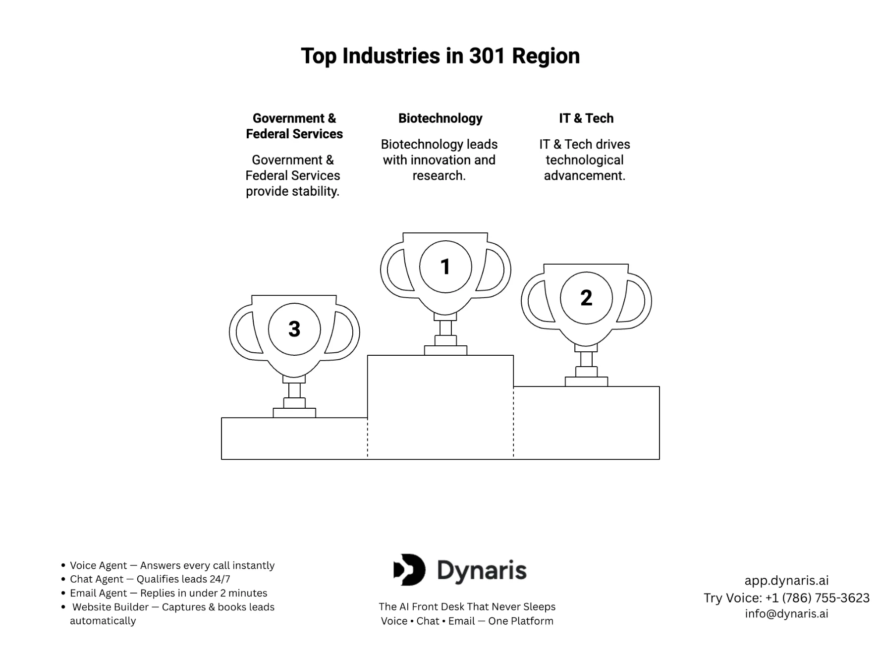 301 Area Code Dynaris AI